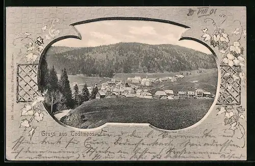 AK Todtmoos, Ortsansicht mit Bergen