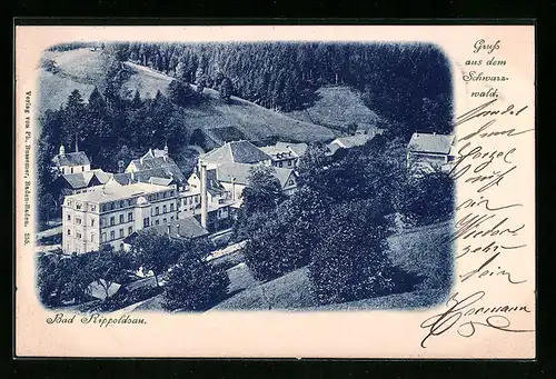 AK Bad Rippoldsau, Ortsansicht aus der Vogelschau