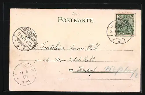 Lithographie Lindau, Hafeneinfahrt mit Dampfer