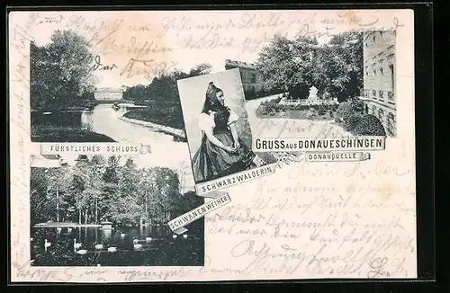 AK Donaueschingen /Schwarzwald, Fürstliches Schloss, Schwanenweiher