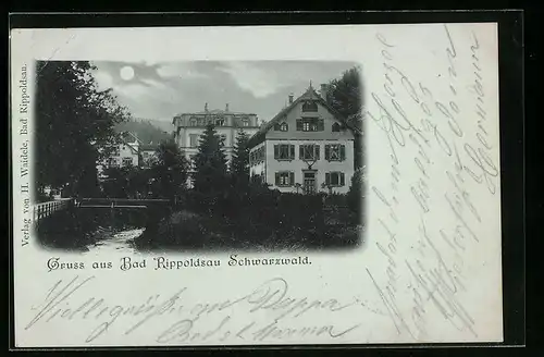 Mondschein-AK Bad Rippoldsau /Schwarzwald, Häuser im Mondlicht