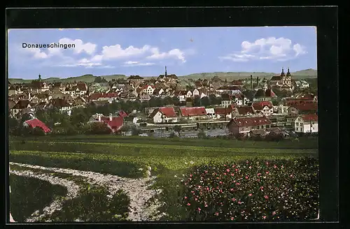 AK Donaueschingen, Ortsansicht mit Blumenwiese