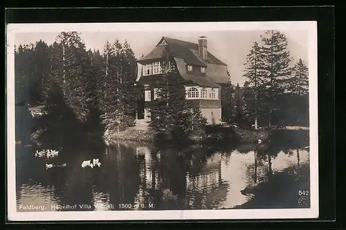 AK Feldberg, Hebelhof Villa Vröneli