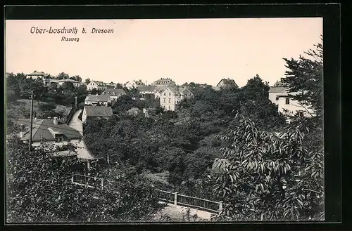 AK Ober-Loschwitz b. Dresden, Ansicht Rissweg