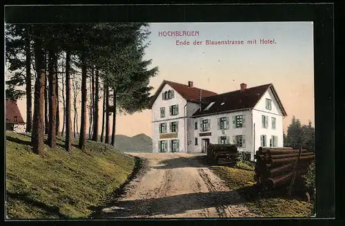 AK Badenweiler /Schwarzwald, Hotel u. Pension Hochblauen