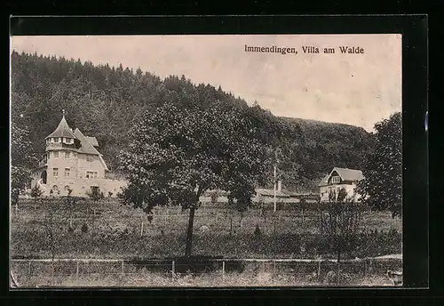 AK Immendingen, Villa am Walde