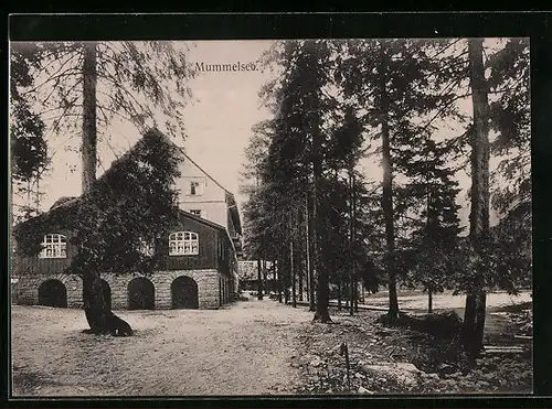 AK Mummelsee, Gebäudeansicht mit Bäumen