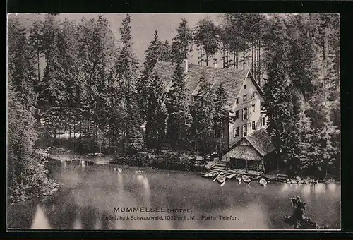 AK Mummelsee /Schwarzwald, Hotel am Gewässer