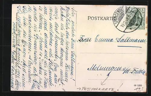 AK Spangenberg, Festpostkarte 1909, 600 jähr. Feier d. Erneuerung d. Stadtrechte, Panorama