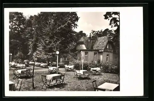 AK Berlin-Dahlem, Gaststätte Holstein, Clayallee 121, Gartenansicht