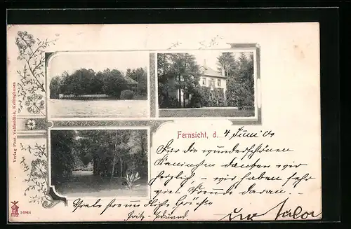 AK Kellinghusen, Villa Fernsicht, Uferpartie, Waldpartie