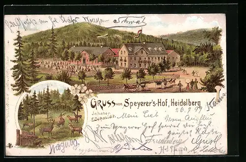 Lithographie Heidelberg, Gasthaus Speyerers-Hof