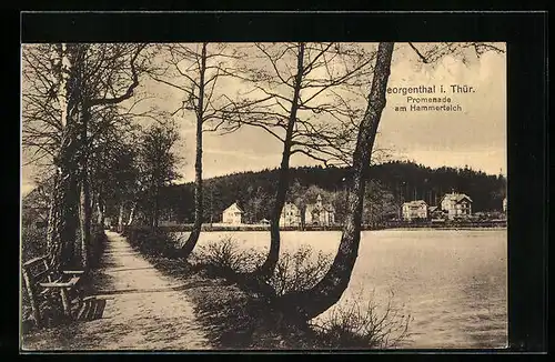 AK Georgenthal i. Thür., Promenade am Hammerteich