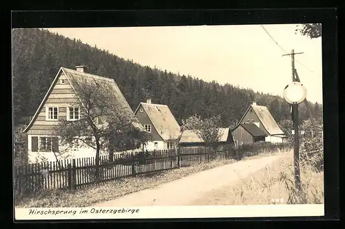 AK Hirschsprung im Osterzgebirge, Wohnhäuser und Gehweg