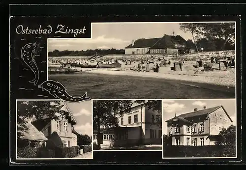 AK Zingst, Strand mit Besuchern