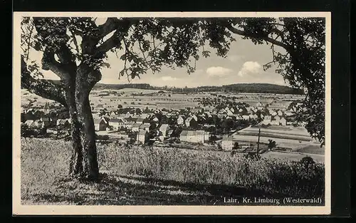 AK Lahr i. Westerwald, Ortsansicht mit Bergen