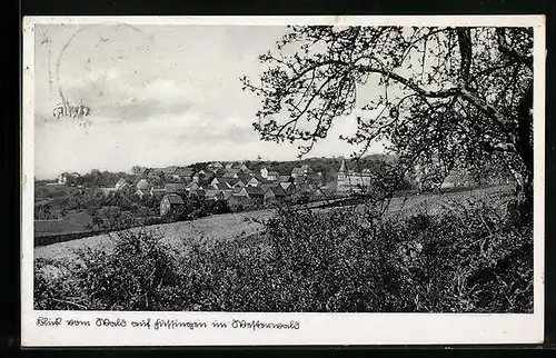 AK Fussingen im Westerwald, Blick vom Wald