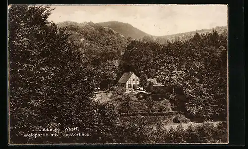 AK Lübbecke i. Westf., Waldpartie mit Försterhaus