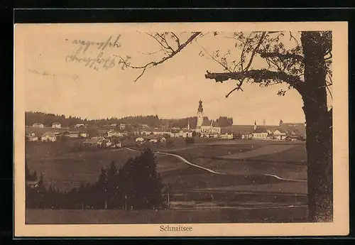 AK Schnaitsee, Ortsansicht aus der Vogelschau