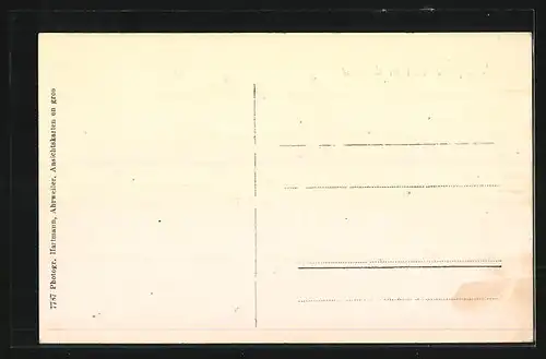 AK Walporzheim a. d. Ahr, Ortsansicht aus der Vogelschau