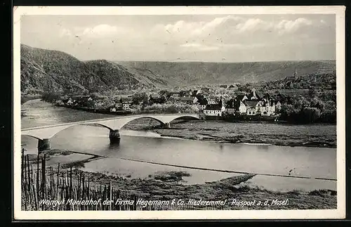 AK Piesport a. d. Mosel, Weingut Marienhof der Firma Hegemann & Co. Niederemmel