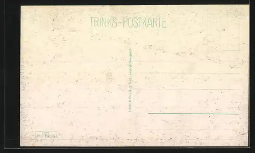 AK Greiz i. V., Blick von der Schönen Aussicht
