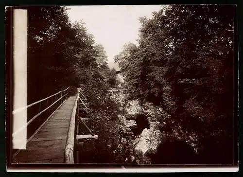 Fotografie Brück & Sohn Meissen, Ansicht Bad Herzberg / Harz, Partie am Philosophenweg mit alter Holzbrücke