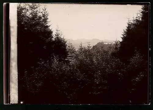 Fotografie Brück & Sohn Meissen, Ansicht Bad Herzberg, Blick nach dem Schloss von der Königslaube gesehen