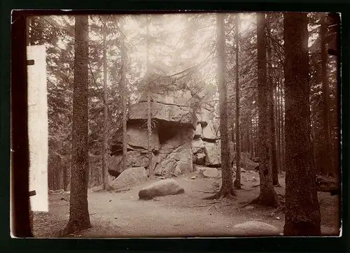 Fotografie Brück & Sohn Meissen, Ansicht Okertal / Harz, Partie im Wald an der Hexenküche Felsformation