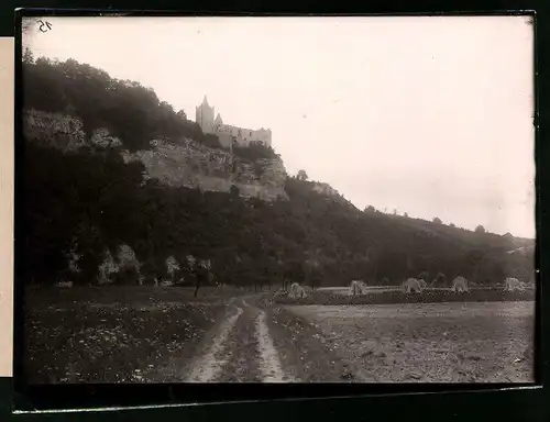 Fotografie Brück & Sohn Meissen, Ansicht Saaleck / Saale, Partie an den Feldern mit Blick nach der Rudelsburg