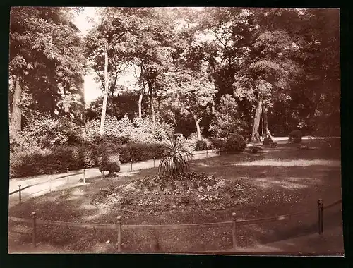 Fotografie Brück & Sohn Meissen, Ansicht Weissenfels / Saale, Partie im Stadtpark mit Blumenarangement