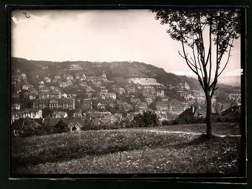 Fotografie Brück & Sohn Meissen, Ansicht Jena, Partie am Landgrafen mit Wohnhäusern