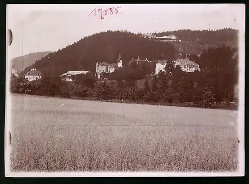 Fotografie Brück & Sohn Meissen, Ansicht Marienbad, Blick nach der Villa Luginsland und Cafe Panorama