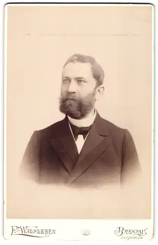 Fotografie E. Walsleben, Breslau, Zwingerstr. 24, Bürgerlicher Herr mit Vollbart