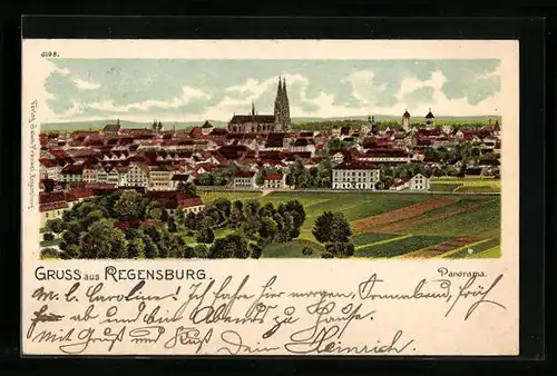 Lithographie Regensburg, Totalansicht der Stadt