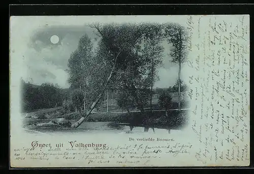Mondschein-AK Valkenburg, De verliefde Boomen