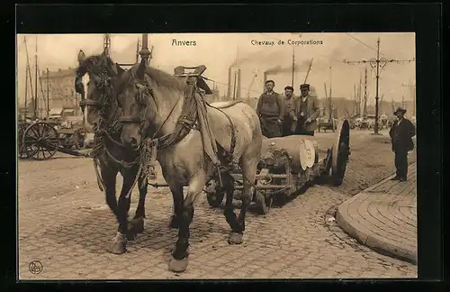 AK Anvers, Chevaux de Corporations