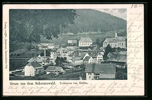 AK Todtmoos /Schwarzw., Teilansicht von Süden