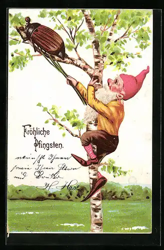Künstler-AK Fröhliche Pfingsten, ein Maikäfer und ein Zwerg auf einer Birke