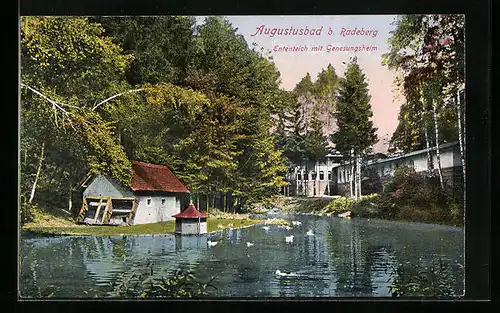 AK Augustusbad b. Radeberg, Ententeich mit Genesungsheim