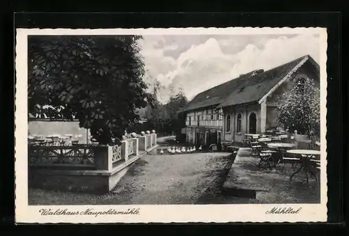 AK Eisenberg i. Thür., Waldhaus Naupoldsmühle im Mühltal