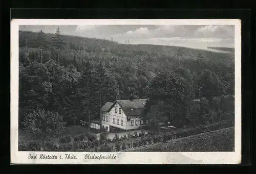 AK Bad Köstritz i. Thür., Ölsdorfmühle aus der Vogelschau