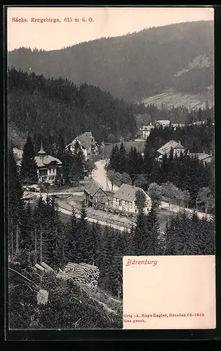 AK Bärenburg /Sächs. Erzgebirge, Ortsansicht mit Wäldern