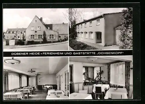 AK Rotta / Kr. Gräfenhainichen, Ferienheim und Gaststätte Ochsenkopf in der Dübener Heide