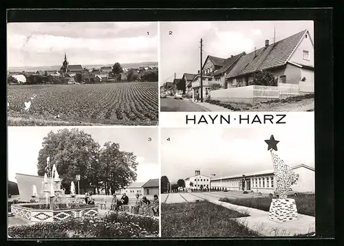 AK Hayn /Harz, Am Langenberg, Polytechnische Oberschule und Turnhalle