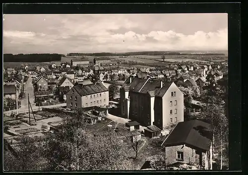 AK Reichenbach /Kr. Stadtroda, Ortsansicht aus der Vogelschau
