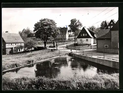 AK Falkenhain /Osterzgeb., Wohnhäuser und Gewässer