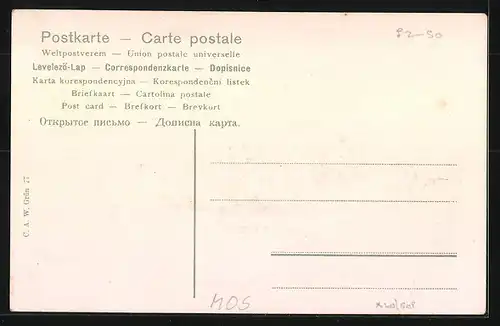 AK Mozambique, Panorama