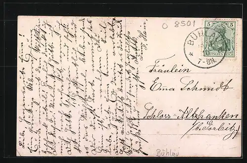 AK Bühlau, Strassenpartie mit Anwesen