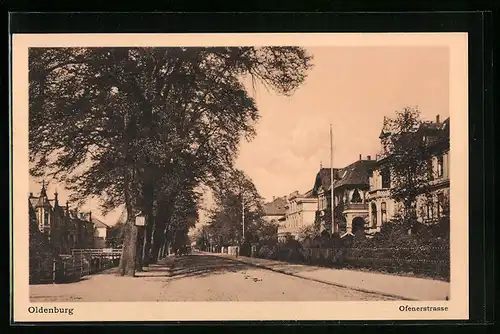 AK Oldenburg, Ofenerstrasse mit Villen